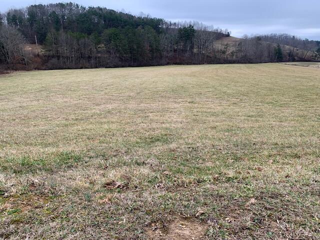 810 Peter Cave Road McKee, KY 40447 - Photo 8 of 9 Acreage 3