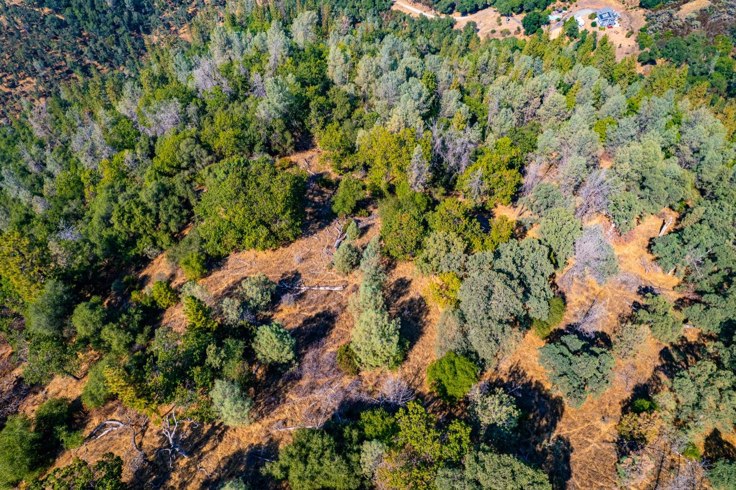 10 Secluded Way El Dorado, CA 95623 - Photo 17 of 18