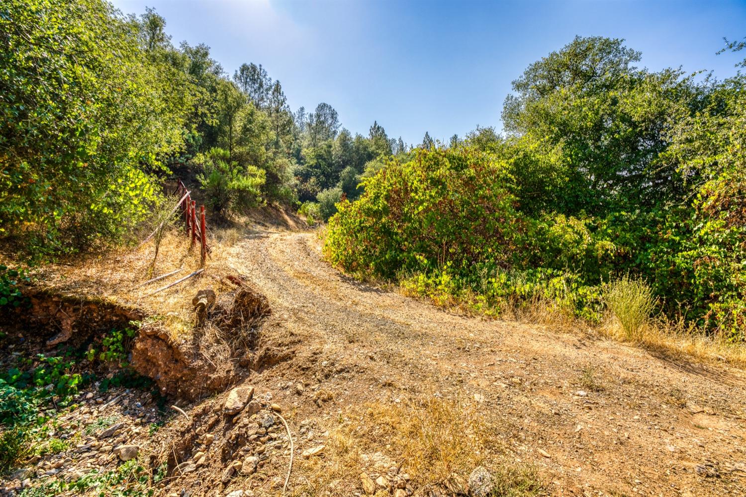 10 Secluded Way El Dorado, CA 95623 - Photo 4 of 18