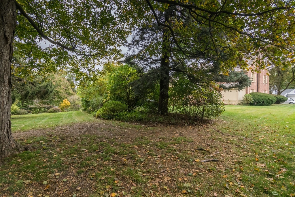 32 Longview Drive Longmeadow, MA 01106 - Photo 36 of 42 a view of a yard with a tree