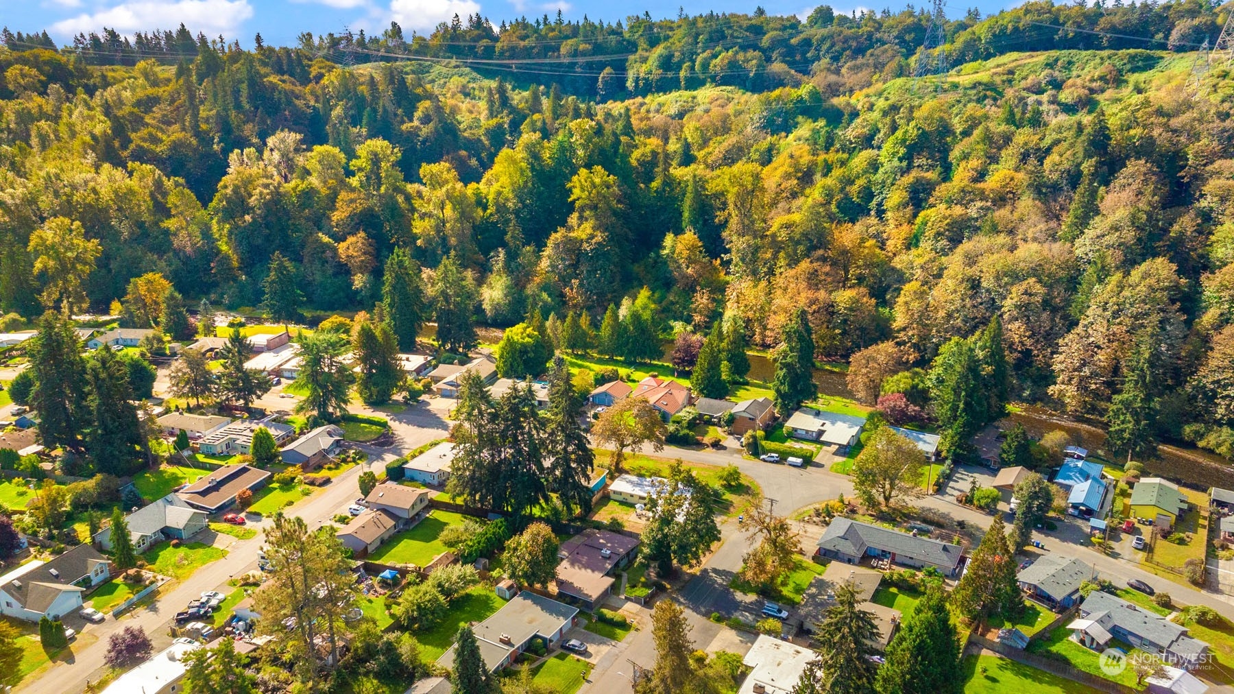 15040 131st Avenue Southeast Renton, WA 98058 - Photo 35 of 39 a view of a tree with a tree