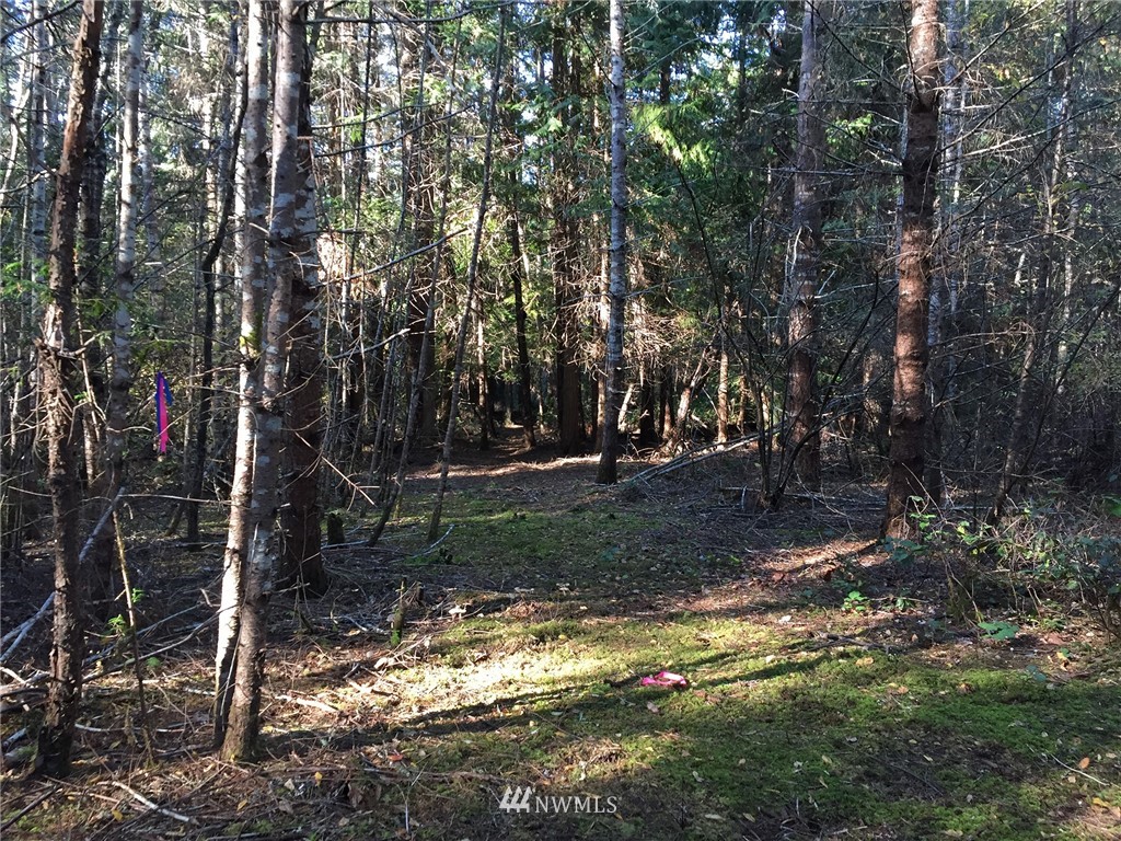 9999 Hunt Road, Unit LOT 4 Port Angeles, WA 98363 - Photo 12 of 21 Gallery Image 12