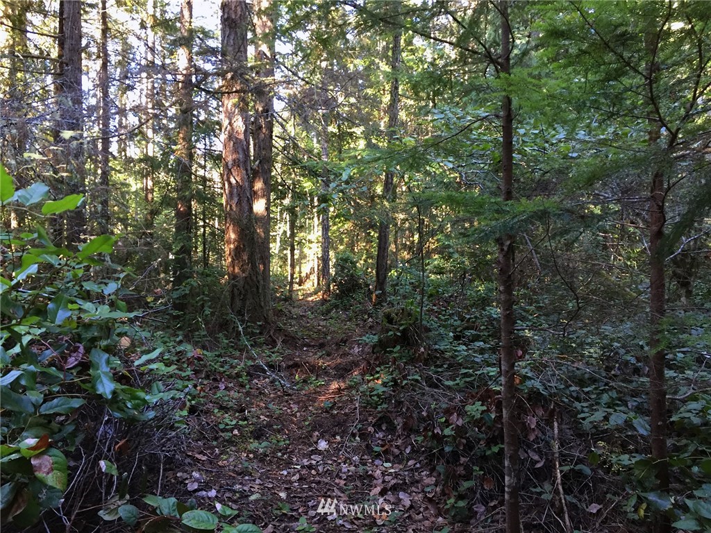 9999 Hunt Road, Unit LOT 4 Port Angeles, WA 98363 - Photo 15 of 21 Gallery Image 15