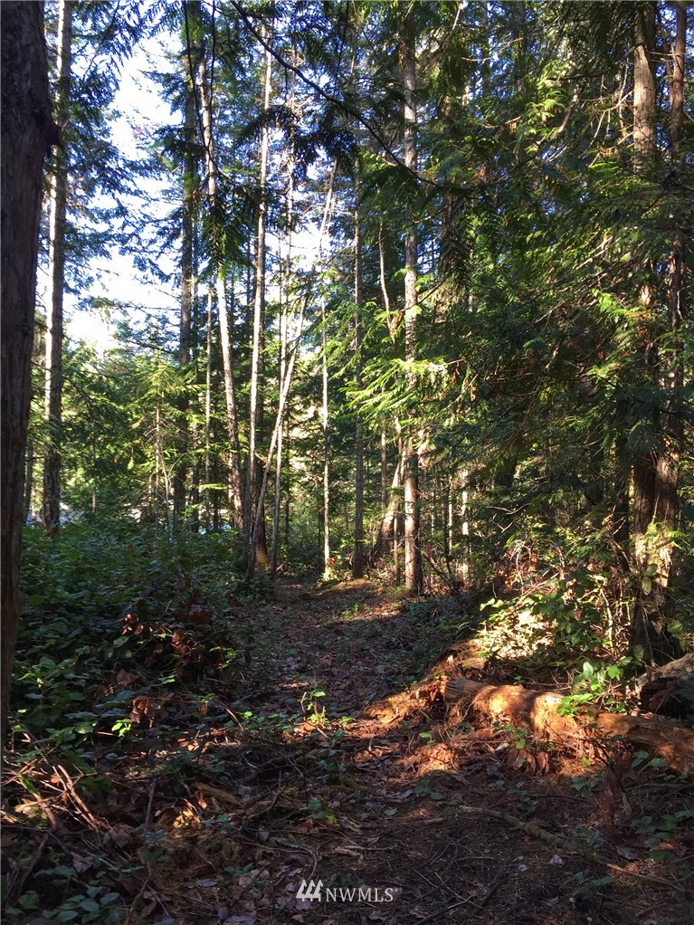 9999 Hunt Road, Unit LOT 4 Port Angeles, WA 98363 - Photo 16 of 21 Gallery Image 16