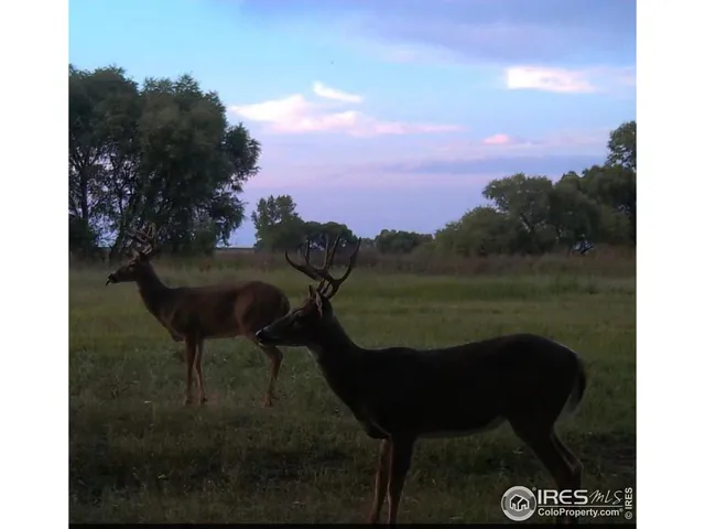 $3,675,000 | 27446 County Road 388, Kersey, CO 80644