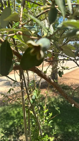 $662,000 | 11073 Arlington Avenue, Riverside, CA 92505