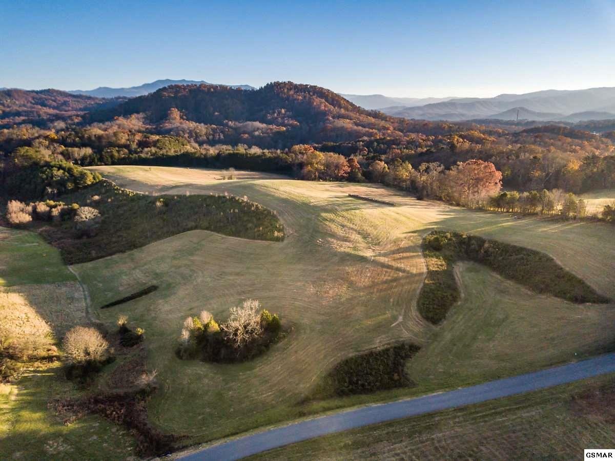 2854 Acres Denton Road Sevierville, TN 37862 - Photo 7 of 9