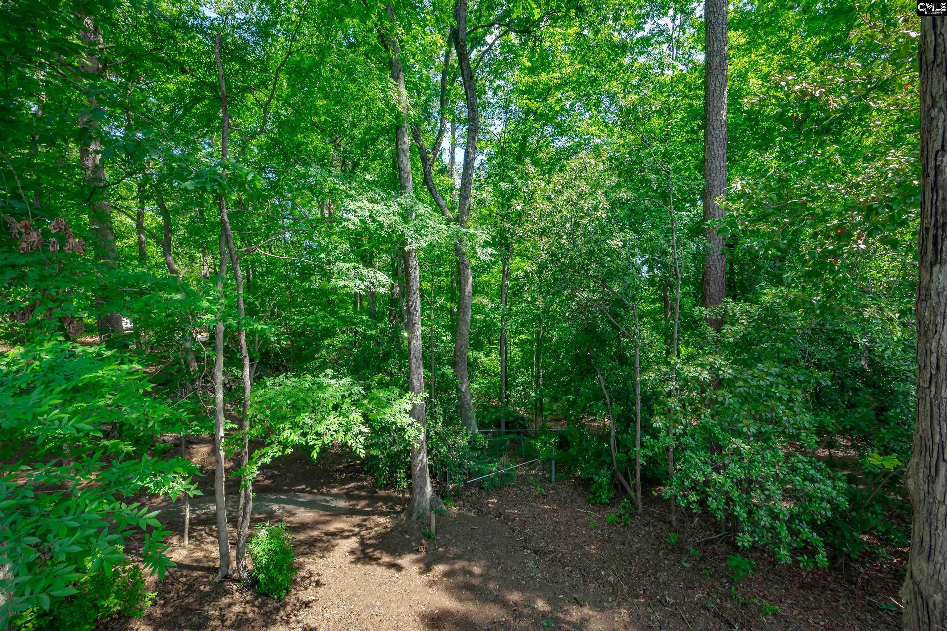128 Holly Ridge Lane West Columbia, SC 29169 - Photo 70 of 88