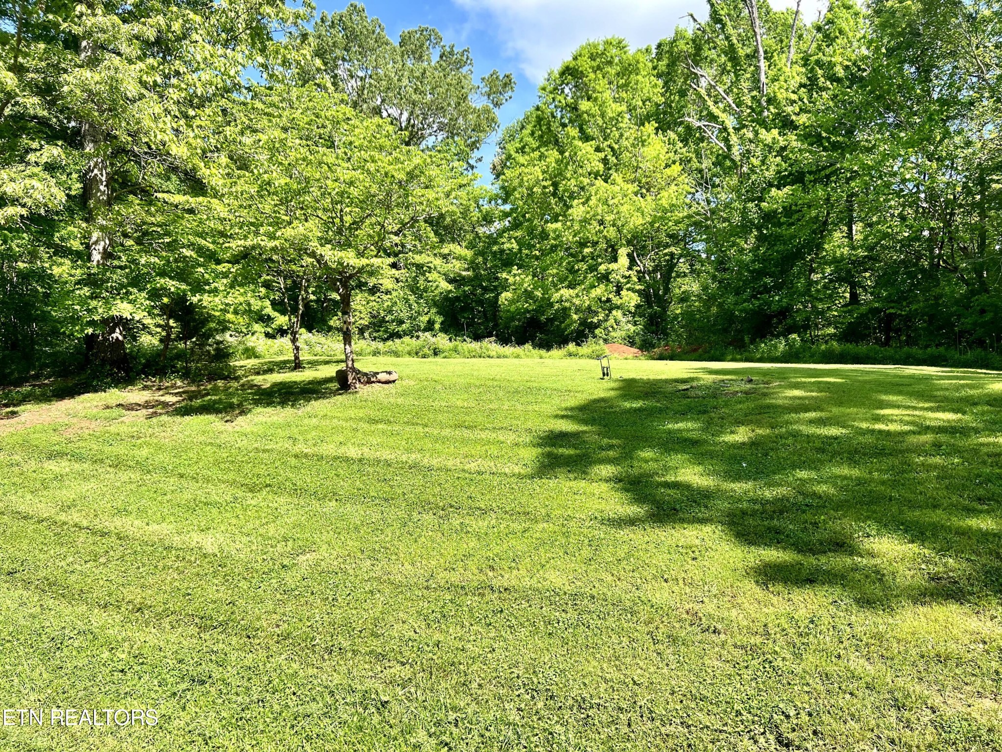 511 Scenic River Road Madisonville, TN 37354 - Photo 15 of 56 Gallery Image 15