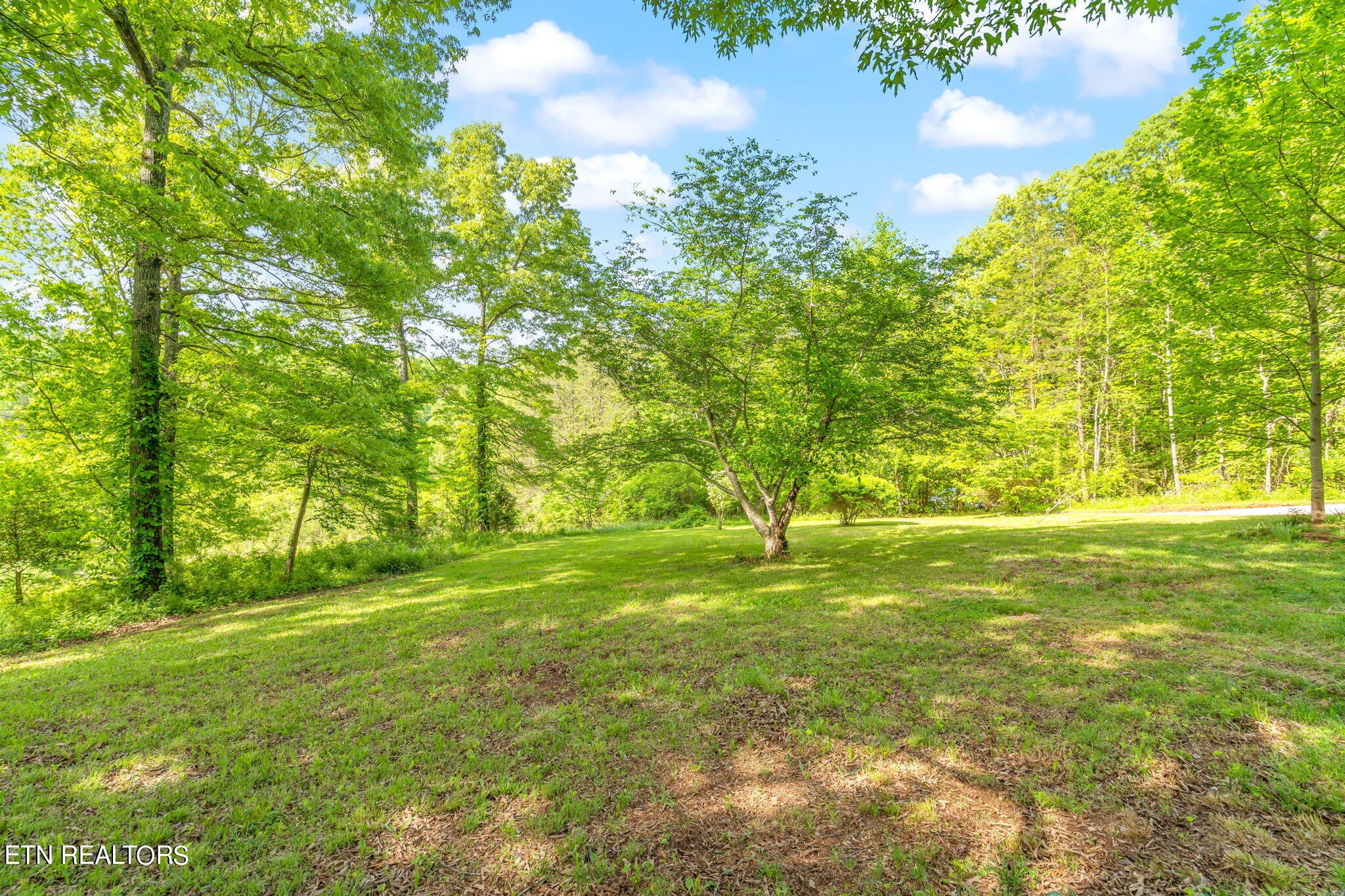 511 Scenic River Road Madisonville, TN 37354 - Photo 45 of 56 Gallery Image 45