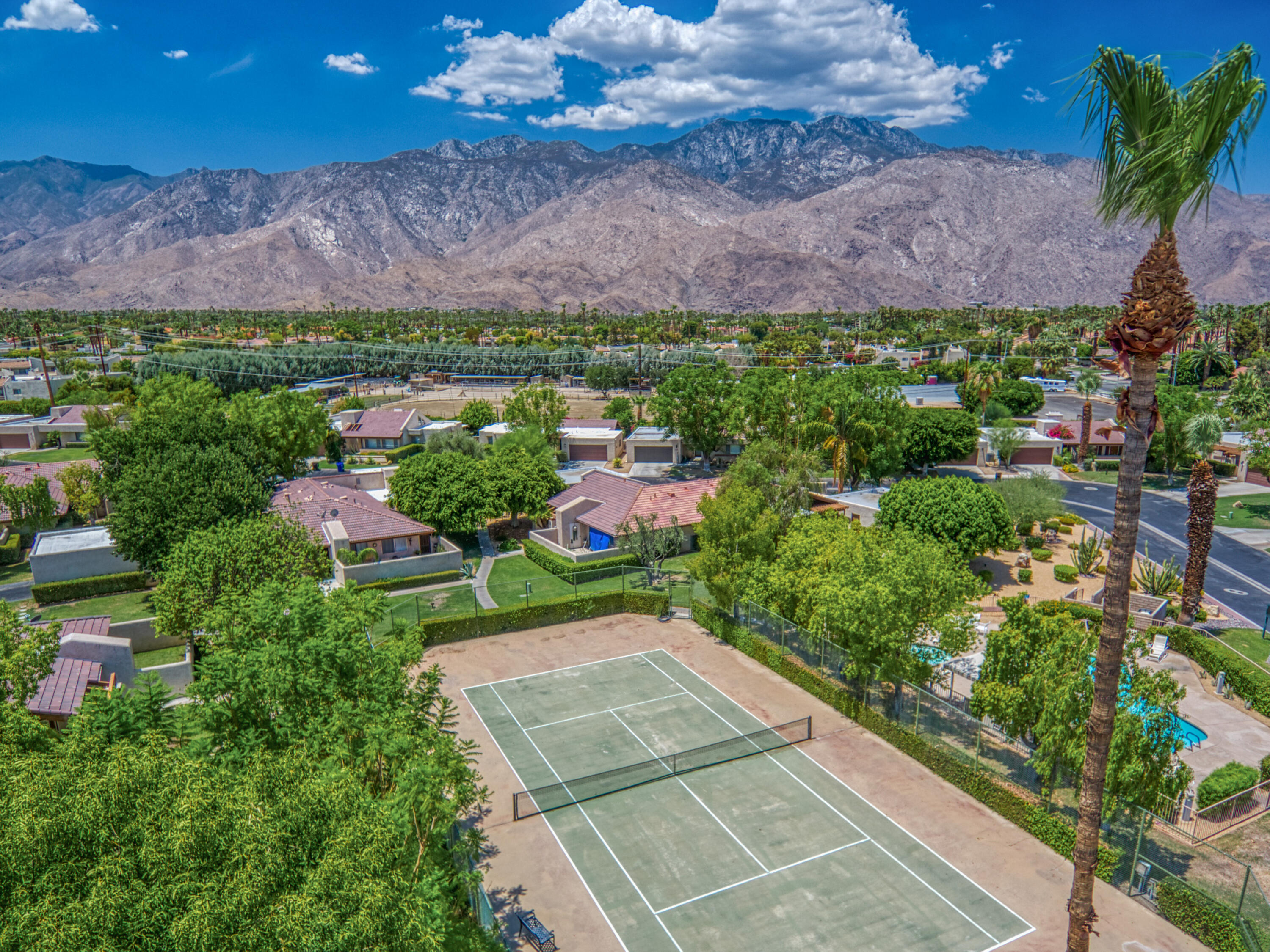 3518 Ridgeview Circle South Palm Springs, CA 92264 - Photo 1 of 32 a view of that has a lot of plants and flowers around