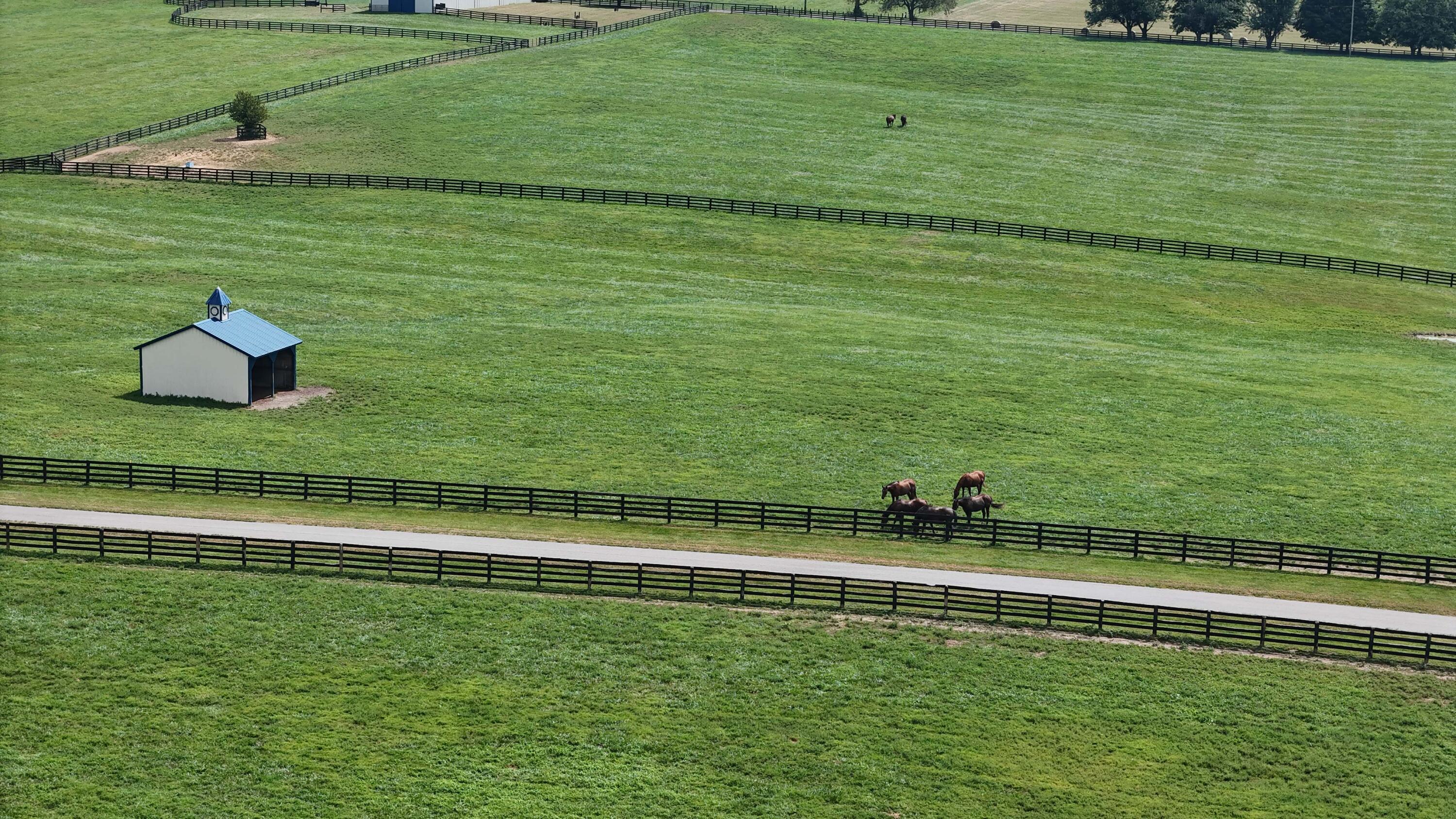 3469 Winchester Road Lexington, KY 40509 - Photo 77 of 86 57