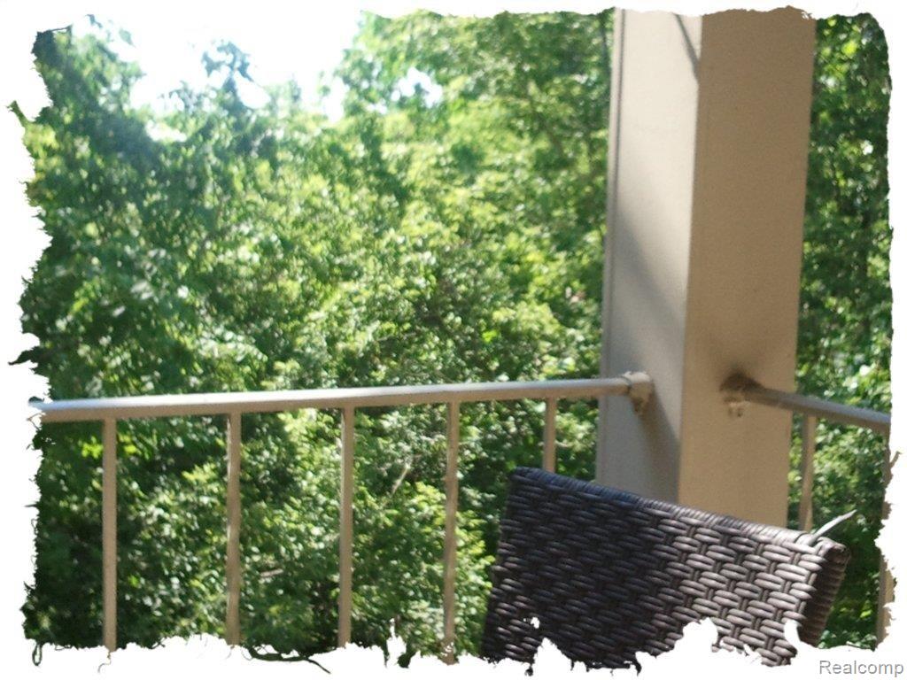 418 Baldwin Avenue, Unit 303 Rochester, MI 48307 - Photo 14 of 15 balcony.jpg