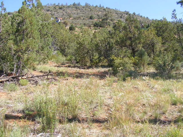 Lot 5 Fossil Creek Road Pine, AZ 85544 - Photo 5 of 8
