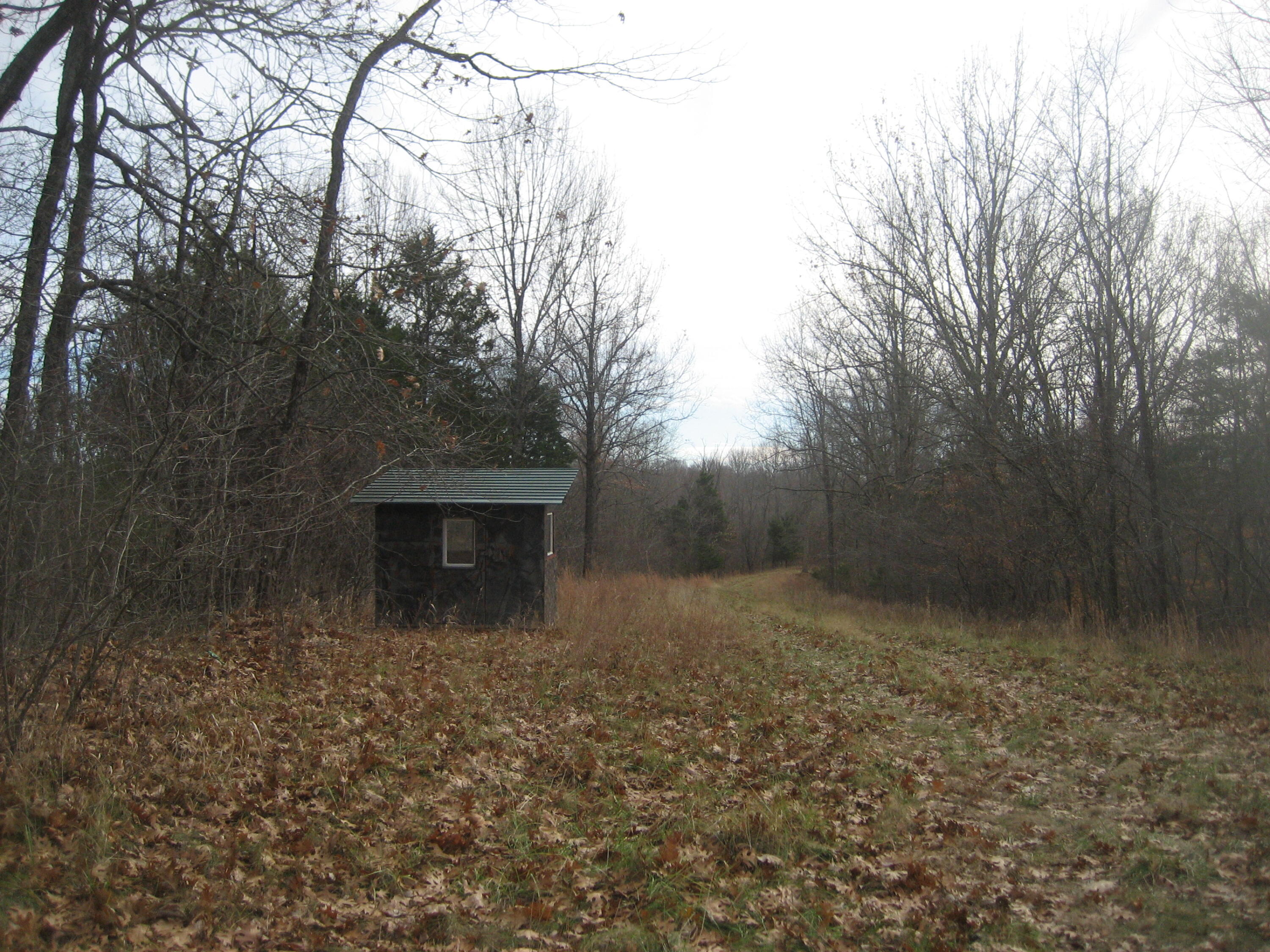 1234 Prather Ridge Road Willisburg, KY 40078 - Photo 5 of 16 IMG_0364