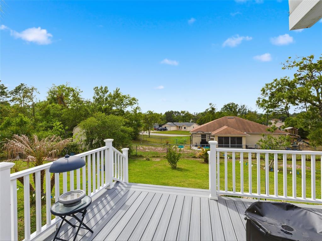 13389 Brewster Road Spring Hill, FL 34609 - Photo 38 of 53