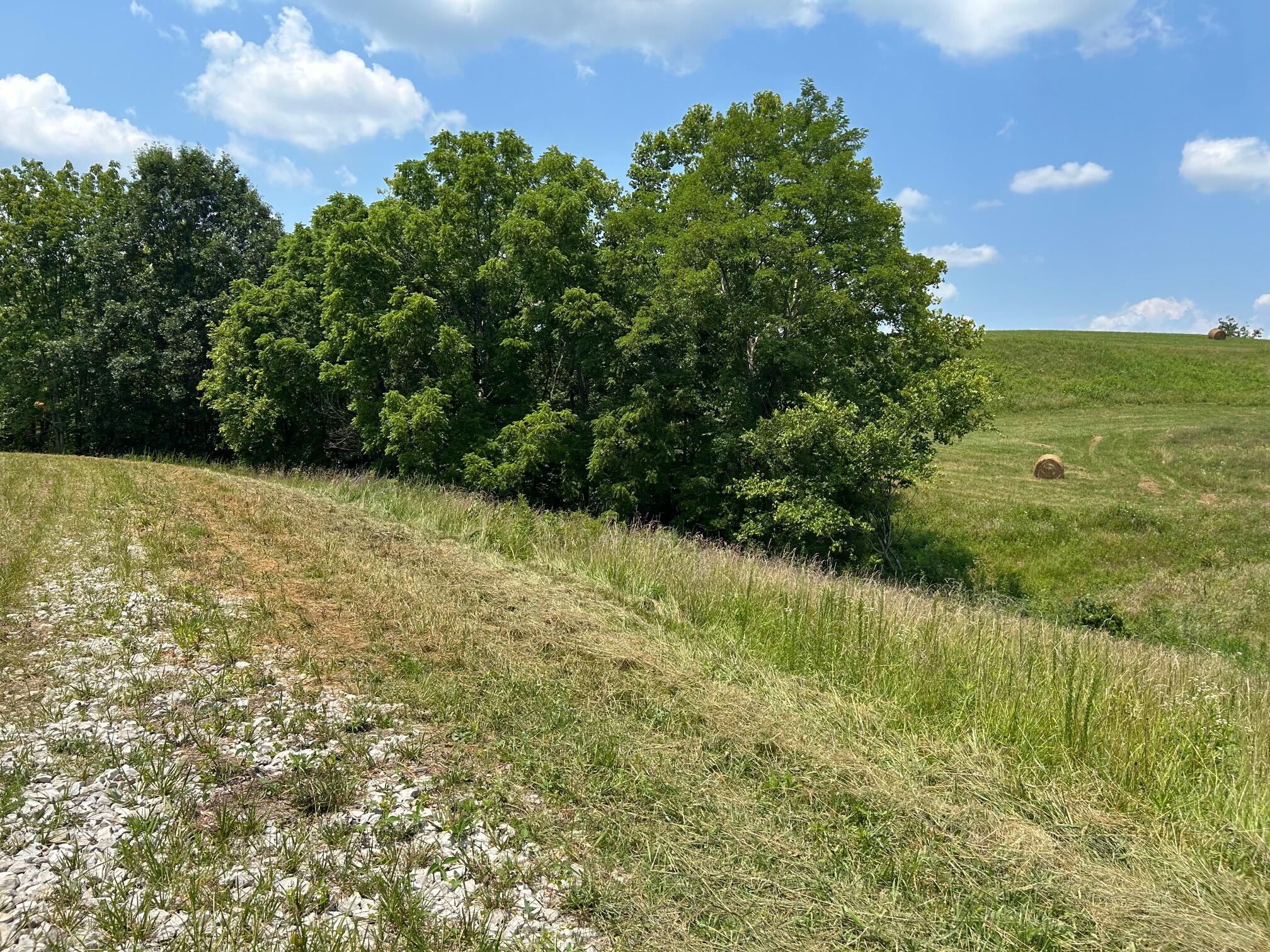 13015 Irvine Road Winchester, KY 40391 - Photo 12 of 19 IMG_3239