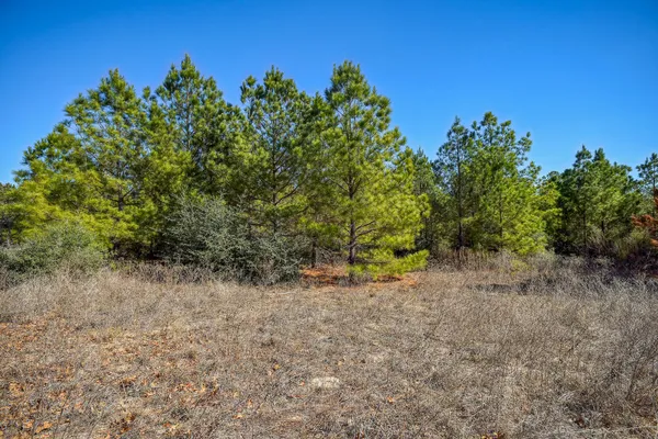 $620,000 | 129 Country Air Drive, Bastrop, TX 78602