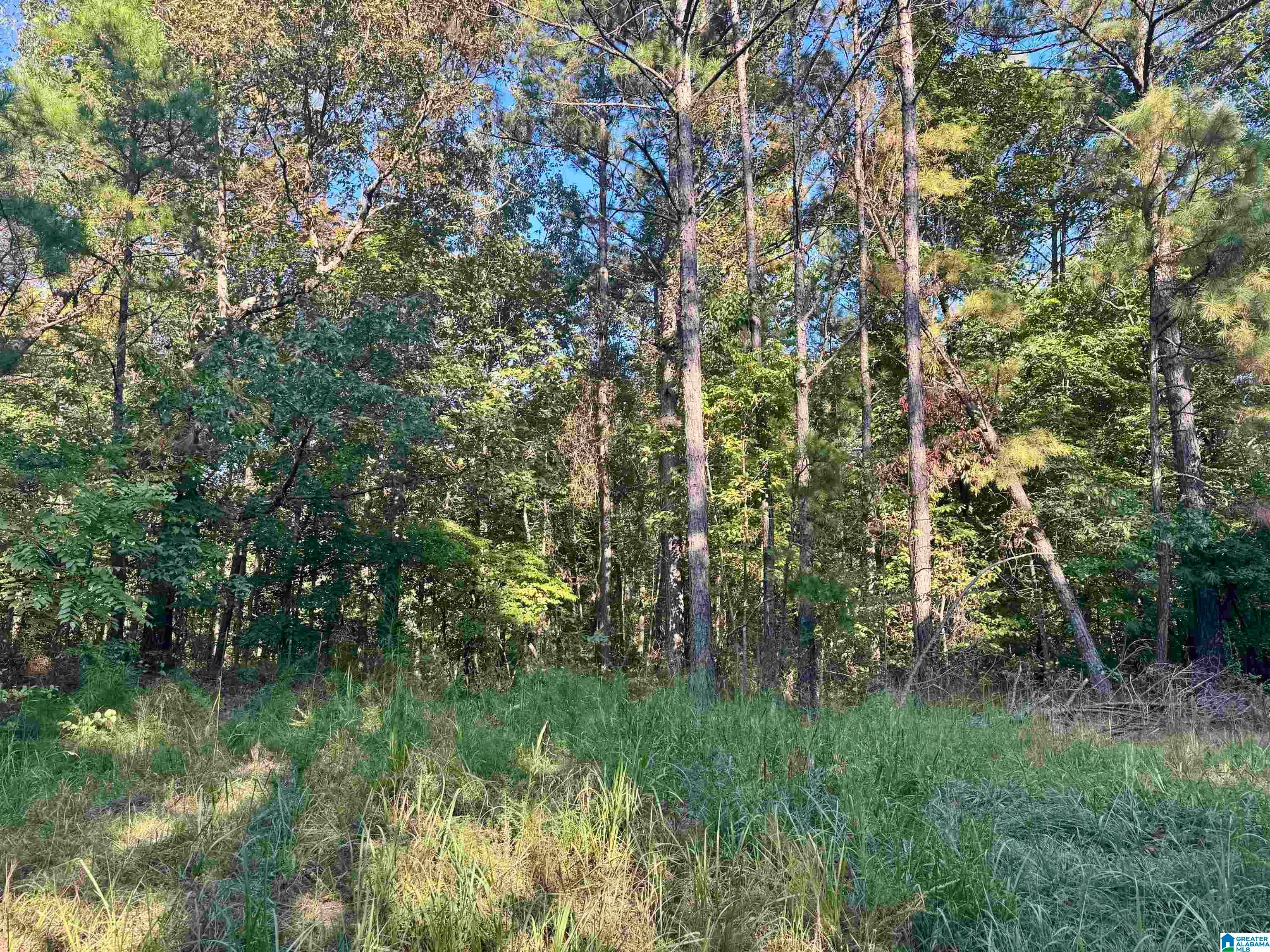Lane Branch Road, Unit 19 28 Wedowee, AL 36278 - Photo 2 of 11 Gallery Image 2