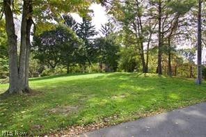 1636 Garman Road Akron, OH 44313 - Photo 3 of 5