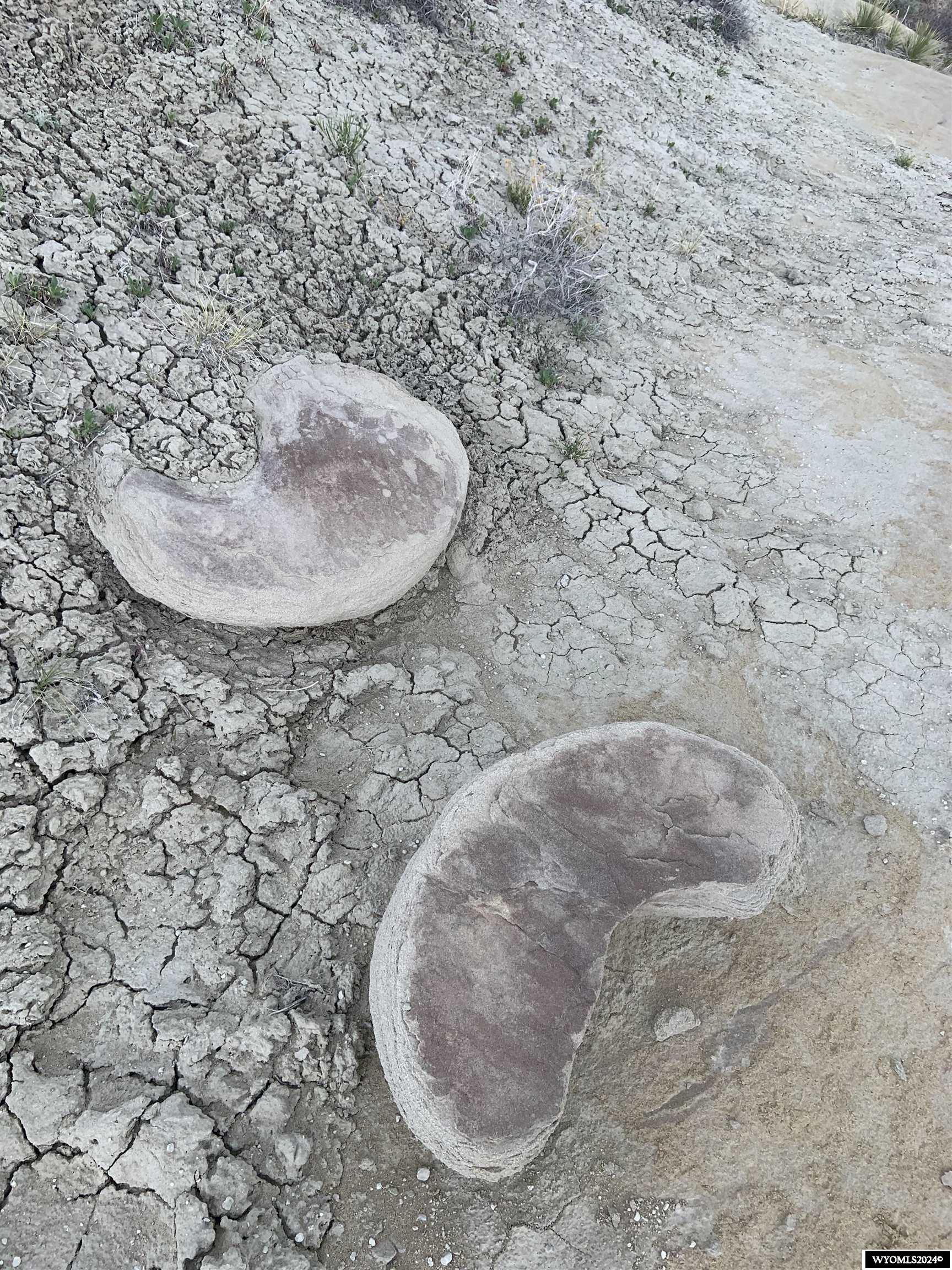 0 Paradise Valley Road Riverton, WY 82501 - Photo 17 of 23