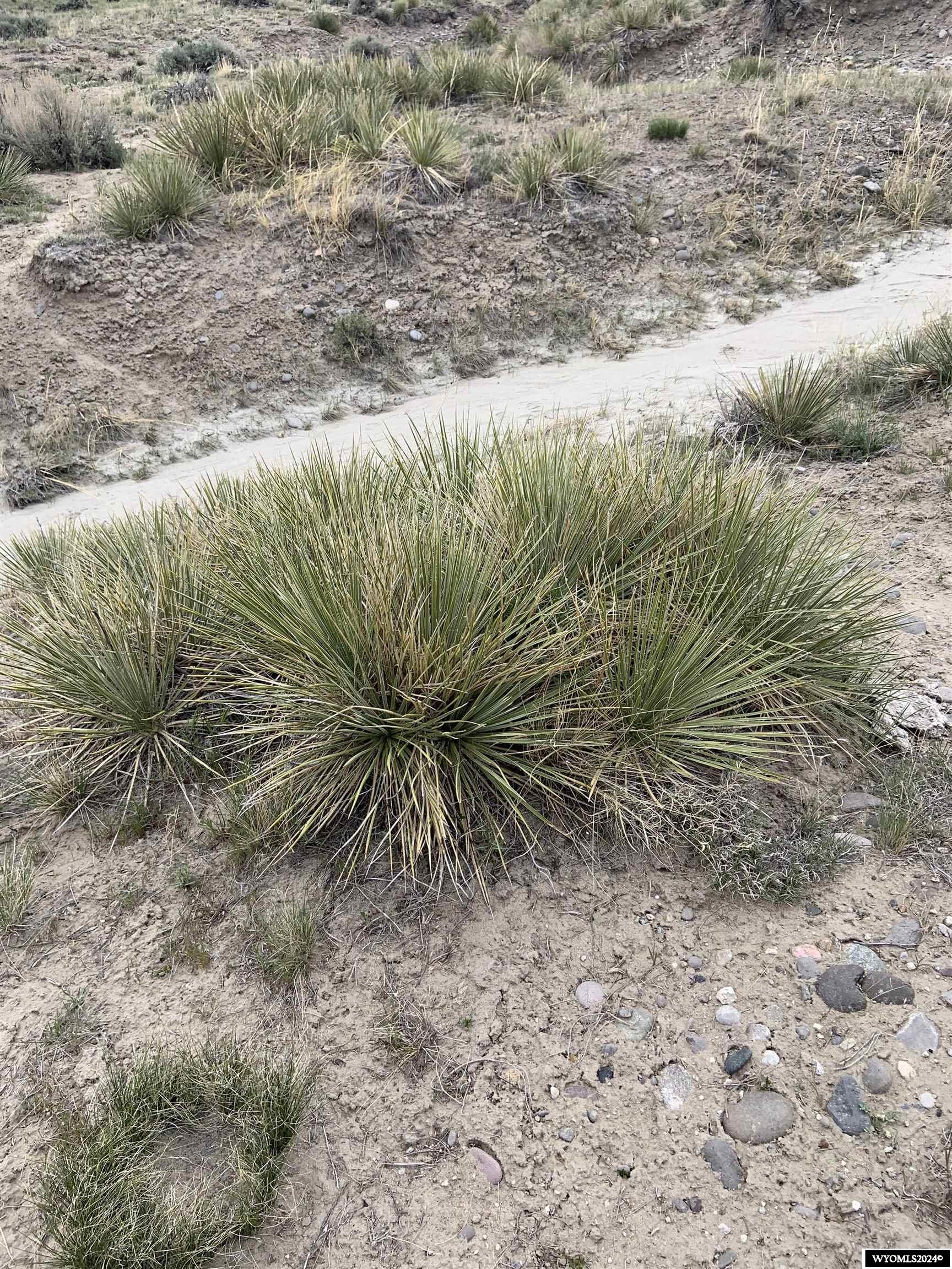 0 Paradise Valley Road Riverton, WY 82501 - Photo 20 of 23