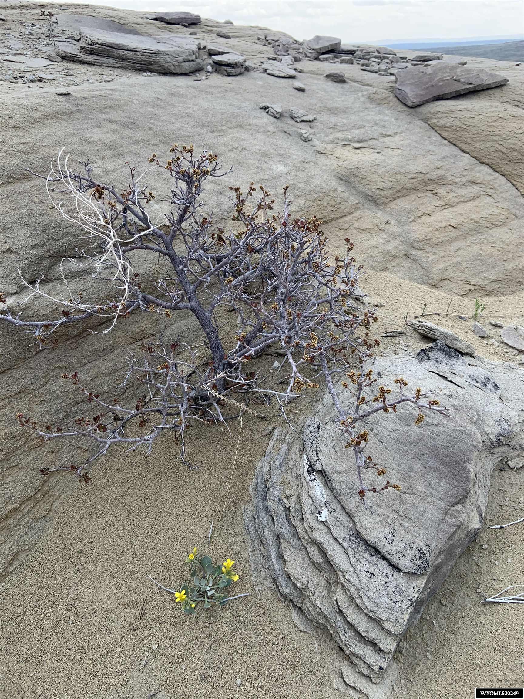 0 Paradise Valley Road Riverton, WY 82501 - Photo 22 of 23