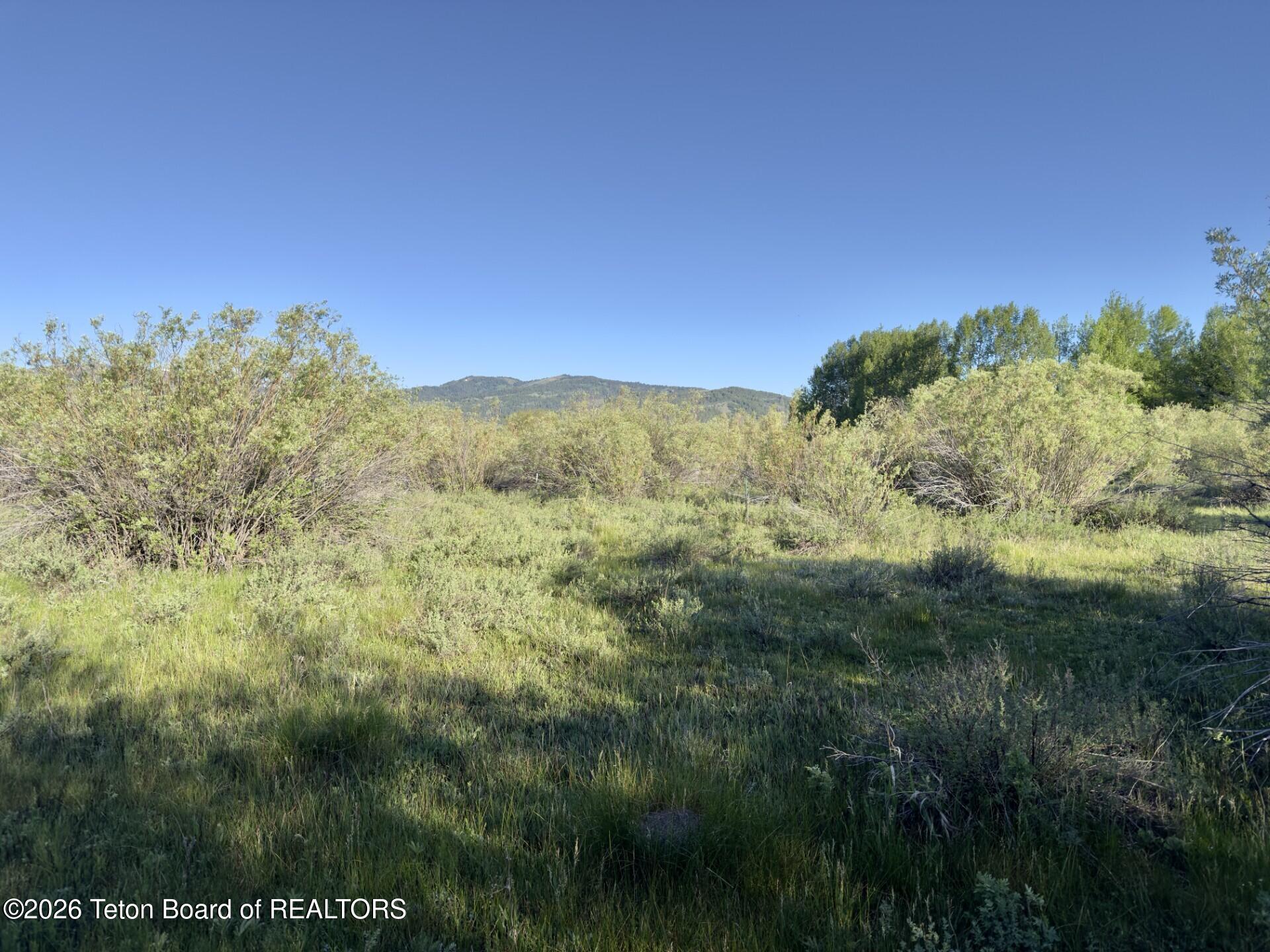 3329 Trout Creek Road Victor, ID 83455 - Photo 8 of 12 Build Site area