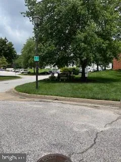 a park with lots of trees and plants