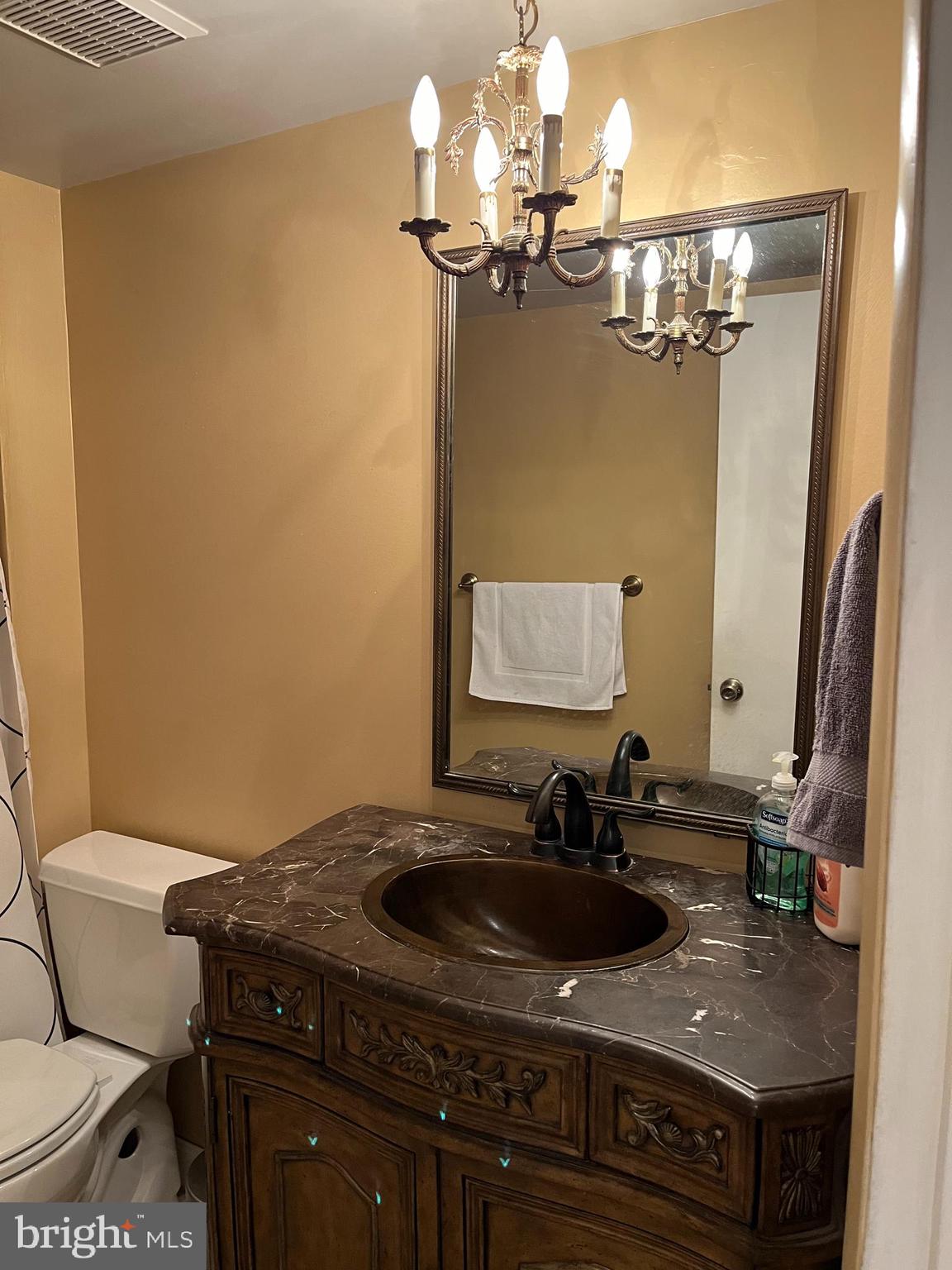 100 Castletown Road, Unit 101 Lutherville-Timonium, MD 21093 - Photo 9 of 18 a bathroom with a sink and a mirror