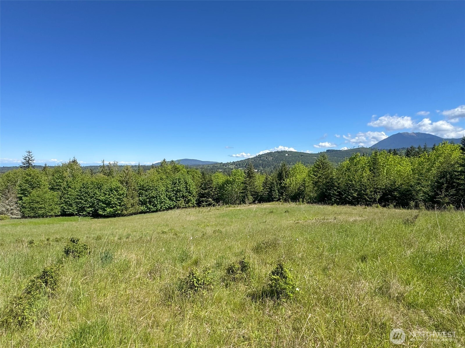 9999 Kruse Road Port Angeles, WA 98362 - Photo 32 of 39
