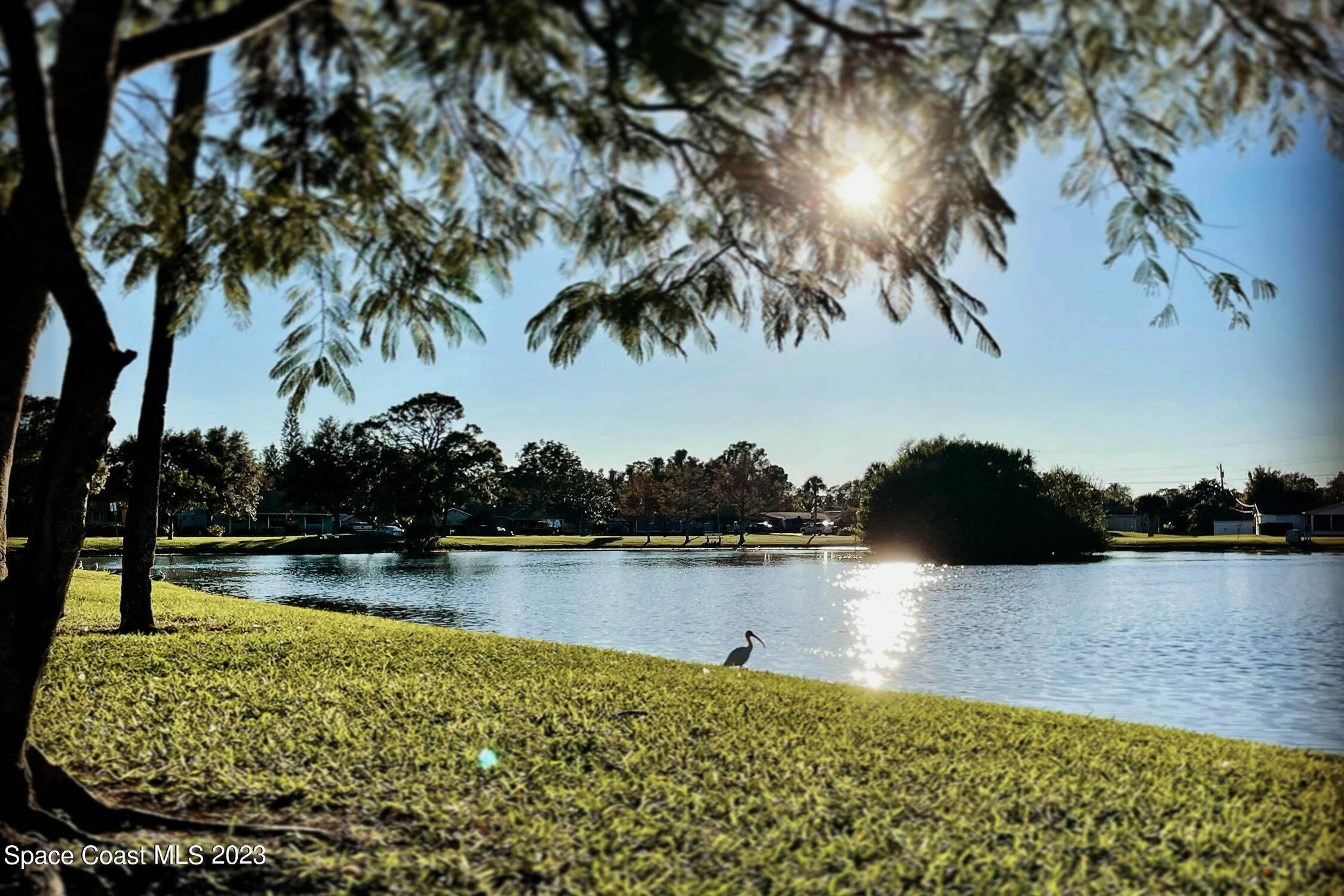 461 Easy Street Sebastian, FL 32958 - Photo 30 of 31 a view of a lake with houses in the back