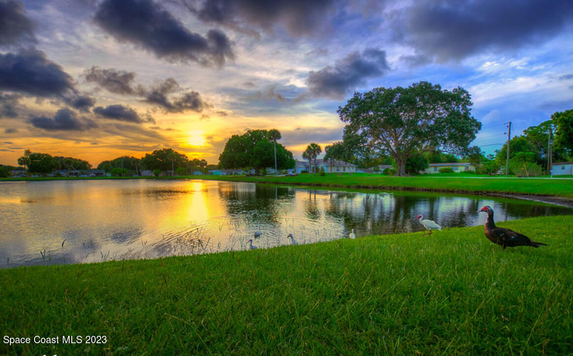 461 Easy Street Sebastian, FL 32958 - Photo 31 of 31 461 Easy