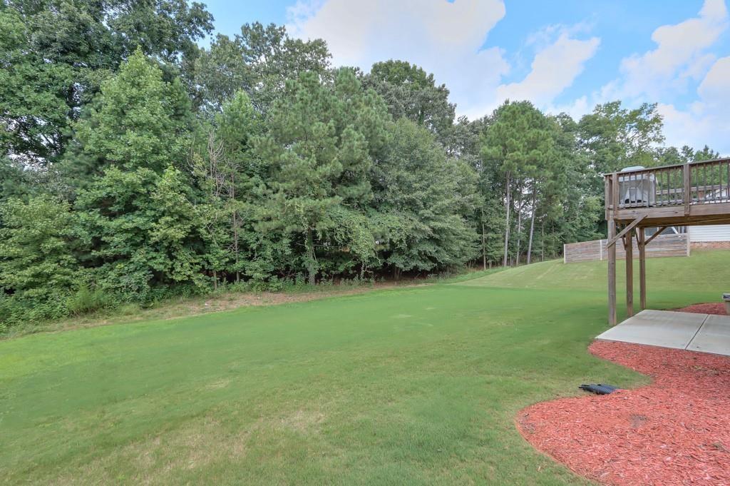 4688 Cantrell Road Flowery Branch, GA 30542 - Photo 38 of 39 a view of a backyard with a garden