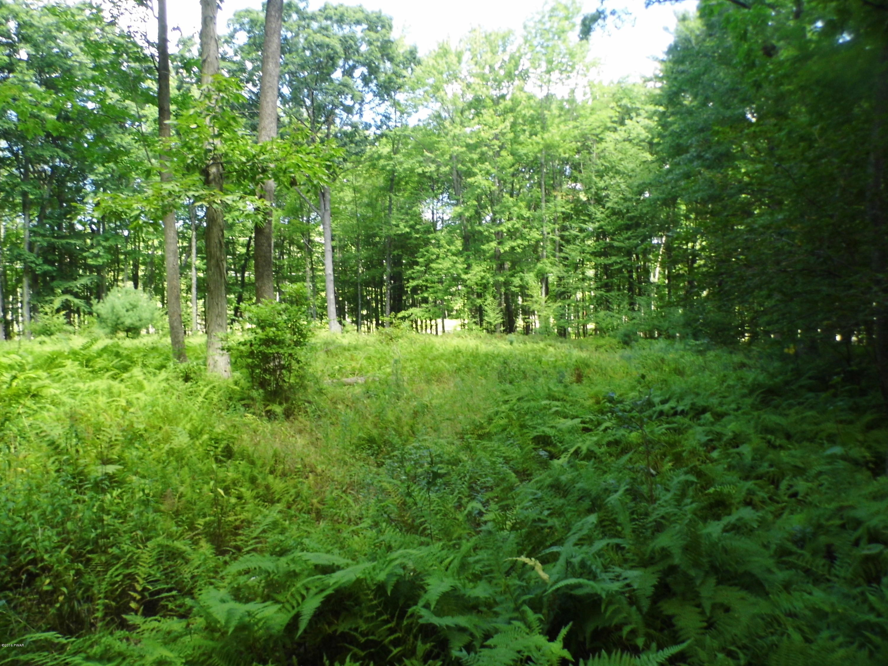 Hoadleys Road Hawley, PA 18428 - Photo 6 of 7