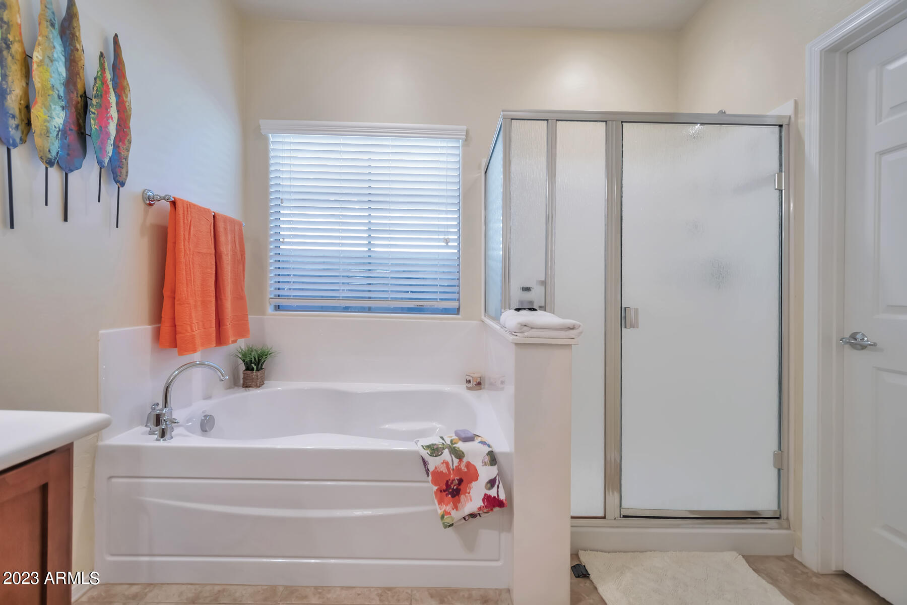 7606 West Springfield Way Florence, AZ 85132 - Photo 17 of 34 QPT - DSC_8058