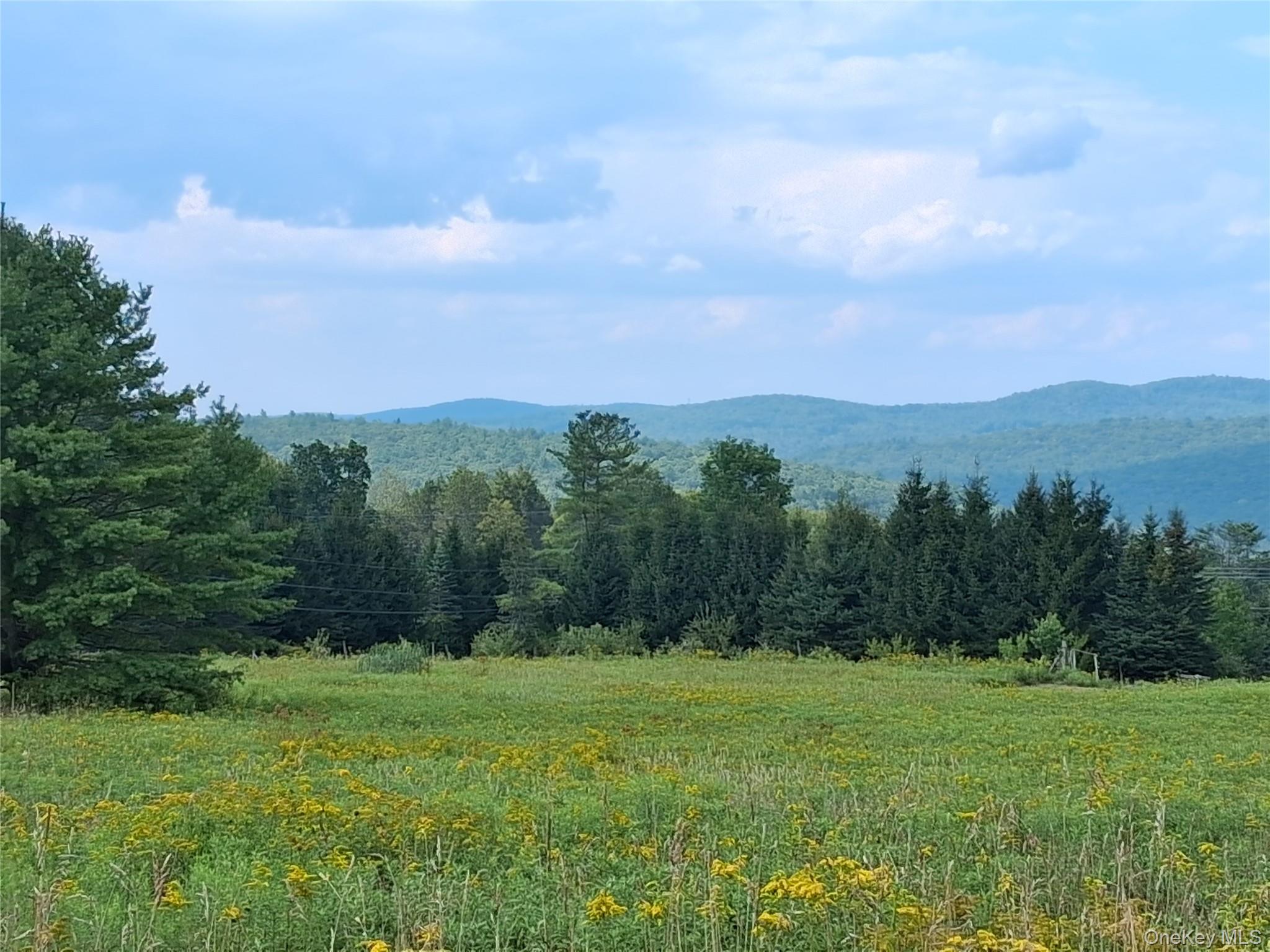66 Milton Smith Road Long Eddy, NY 12760 - Photo 19 of 25 Enjoy the view from the top of Milton Smith Road framed by scenic mountain vistas.
