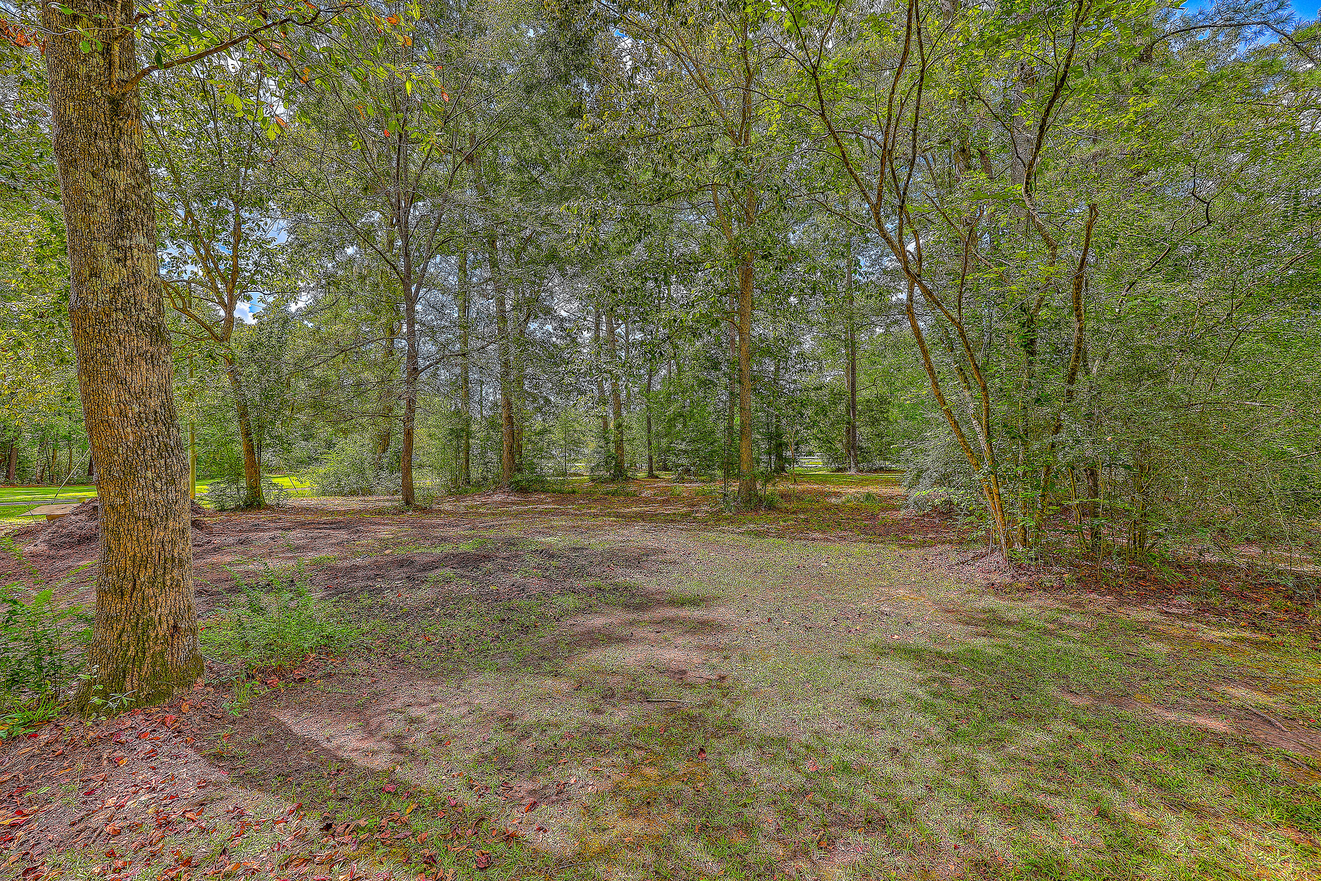 1190 Jedburg Road Summerville, SC 29486 - Photo 37 of 38 ZYN_4365_66_67_68_69_70_71