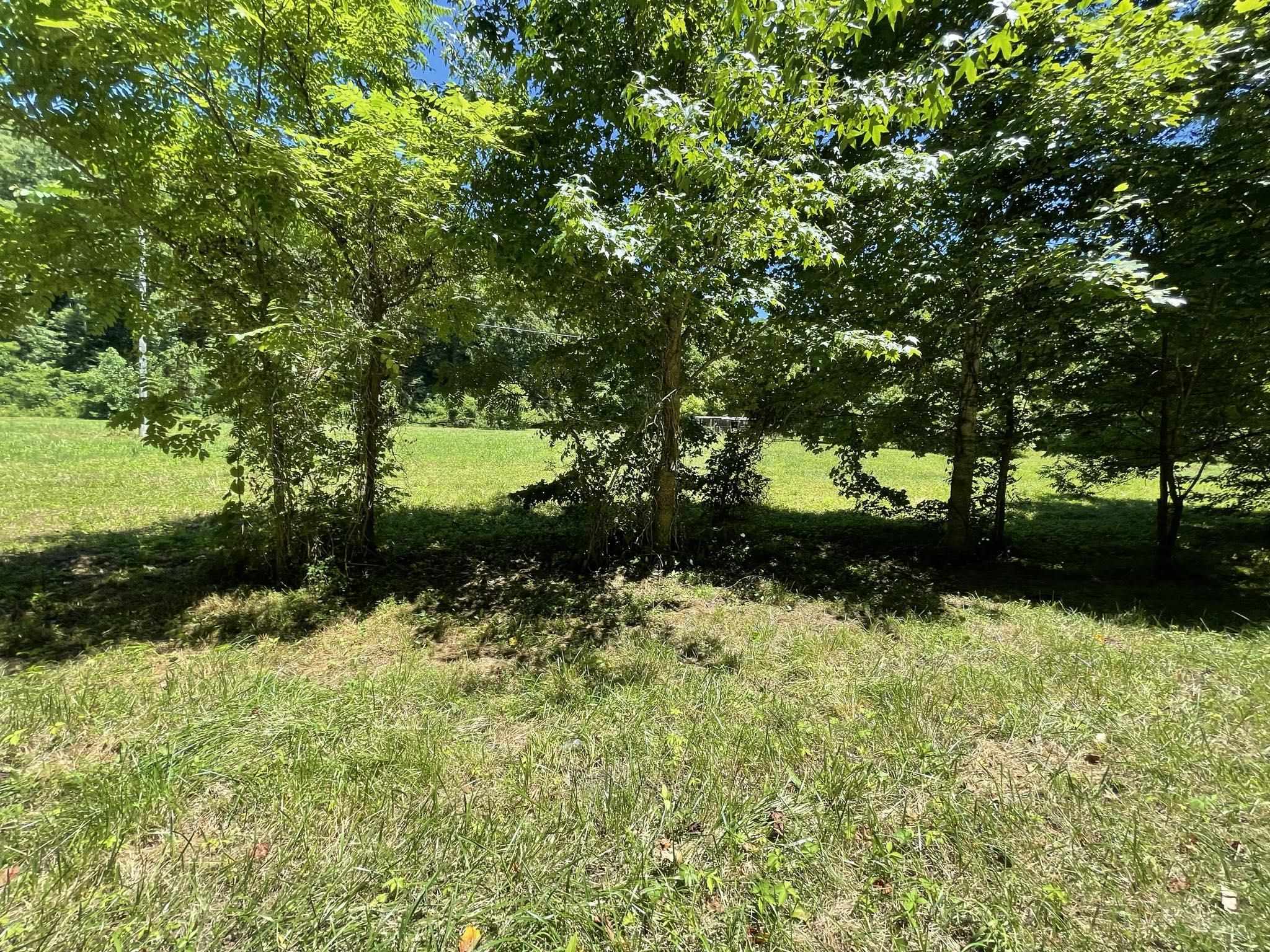 0 Trace Road Vanceburg, KY 41179 - Photo 8 of 12 Gallery Image 8