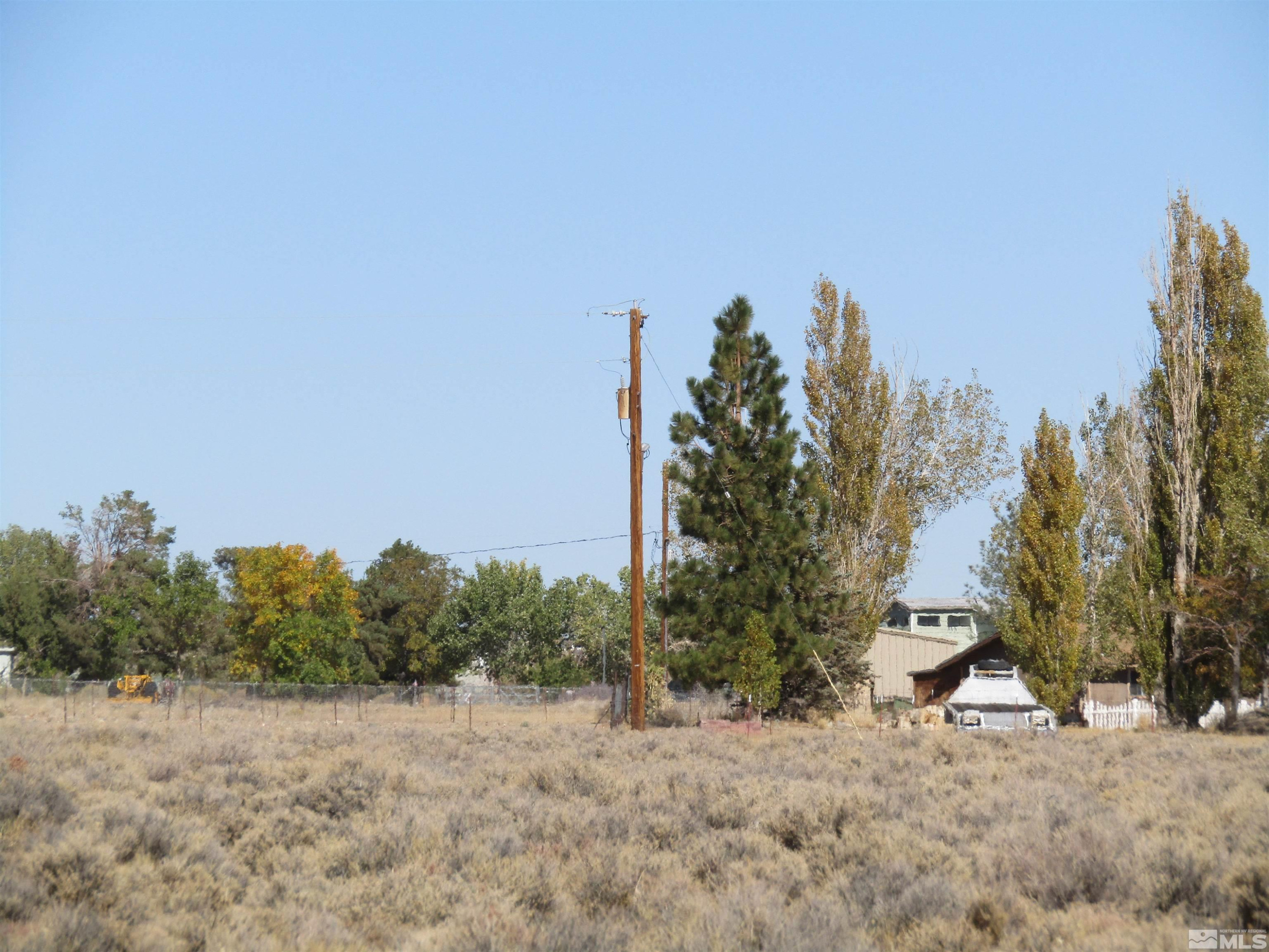 14 Mand Chris Drive Yerington, NV 89447 - Photo 3 of 3 a view of a dry yard with trees in the background