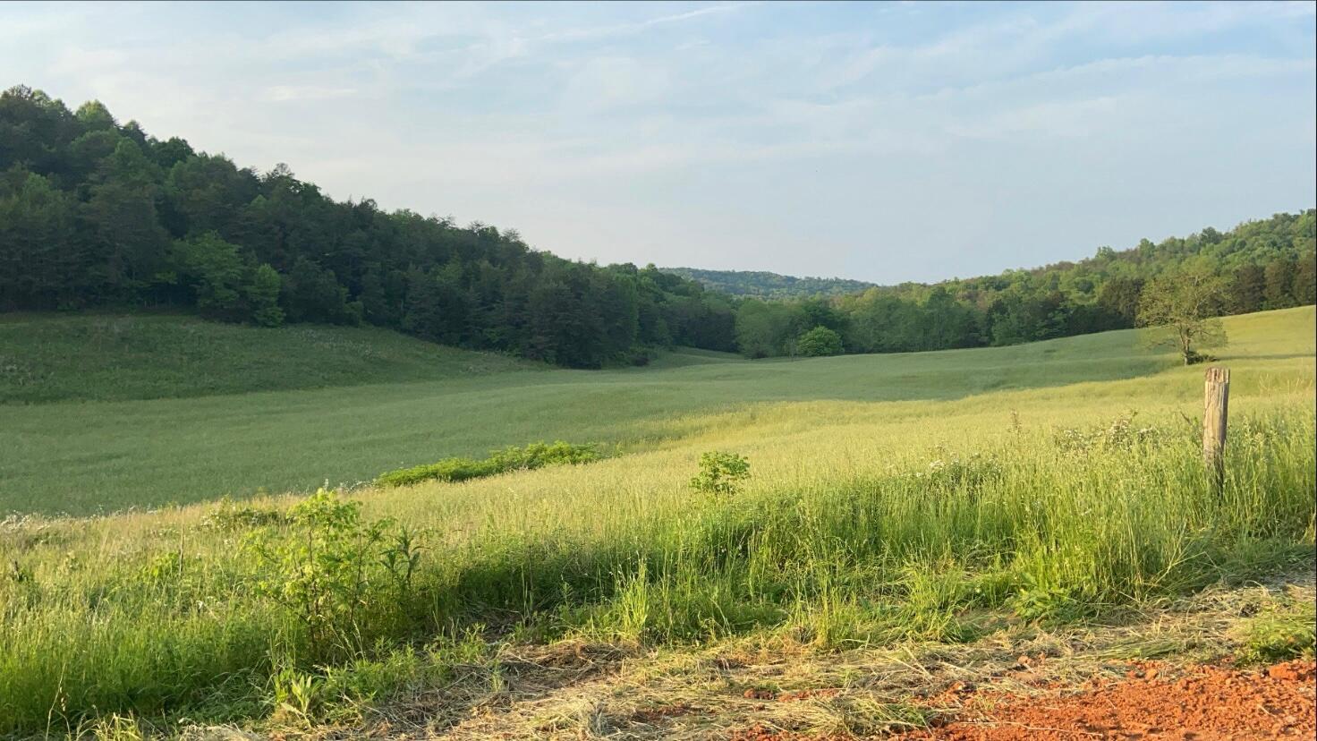 5471 Public Road Somerset, KY 42503 - Photo 13 of 17 IMG_5638