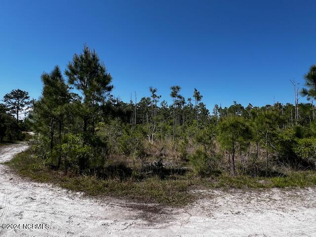 Lot 81 Trevino Road Southport, NC 28461 - Photo 1 of 15 Main