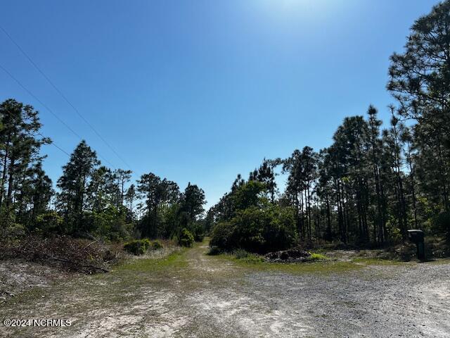 Lot 81 Trevino Road Southport, NC 28461 - Photo 15 of 15 IMG_2115