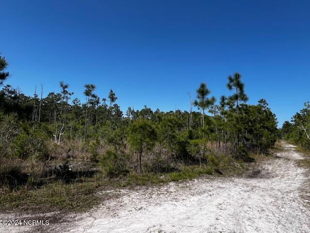 Lot 81 Trevino Road Southport, NC 28461 - Photo 2 of 15 IMG_2094