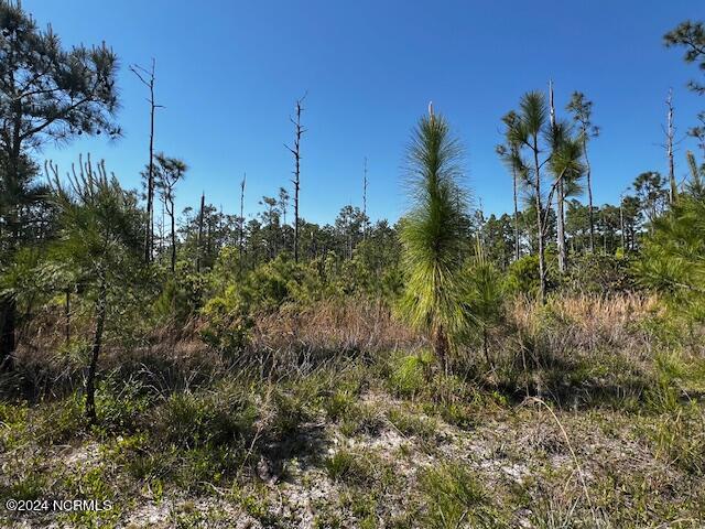 Lot 81 Trevino Road Southport, NC 28461 - Photo 3 of 15 IMG_2097