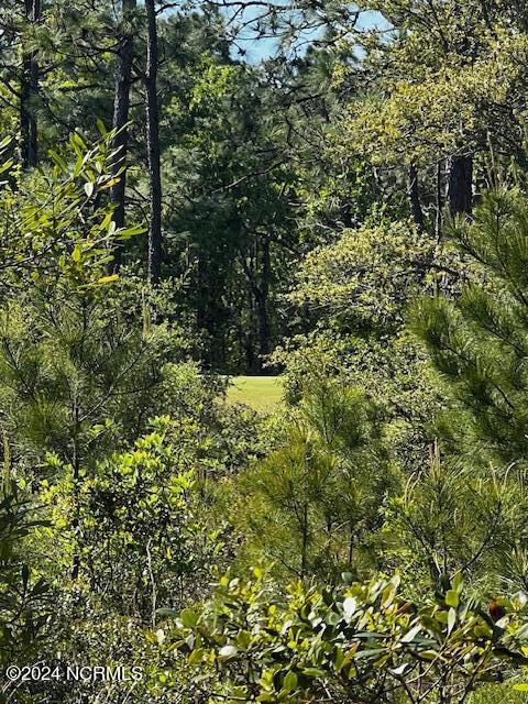 Lot 81 Trevino Road Southport, NC 28461 - Photo 4 of 15 IMG_2098