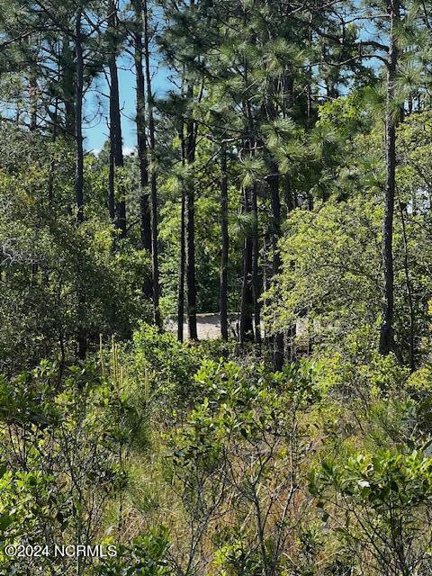 Lot 81 Trevino Road Southport, NC 28461 - Photo 5 of 15 IMG_2099