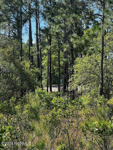 Lot 81 Trevino Road Southport, NC 28461 - Photo 6 of 15 IMG_2100