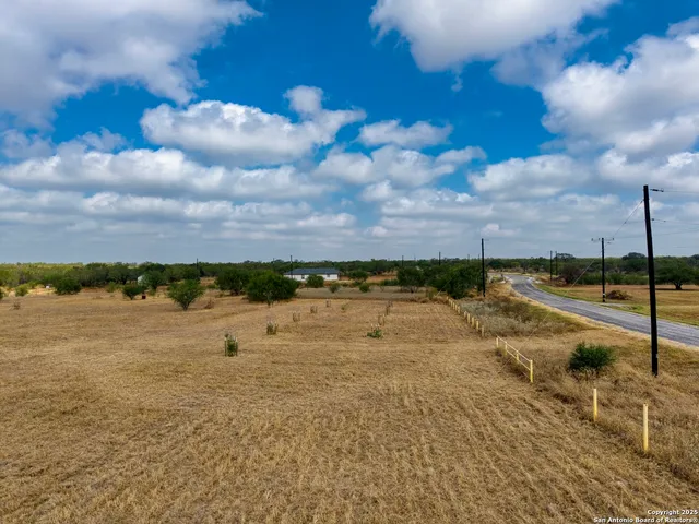 a view of a house with backyard and a tree