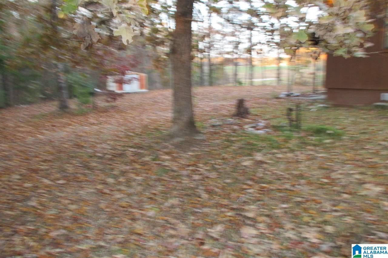1055 Sullivan Lane Springville, AL 35146 - Photo 5 of 13